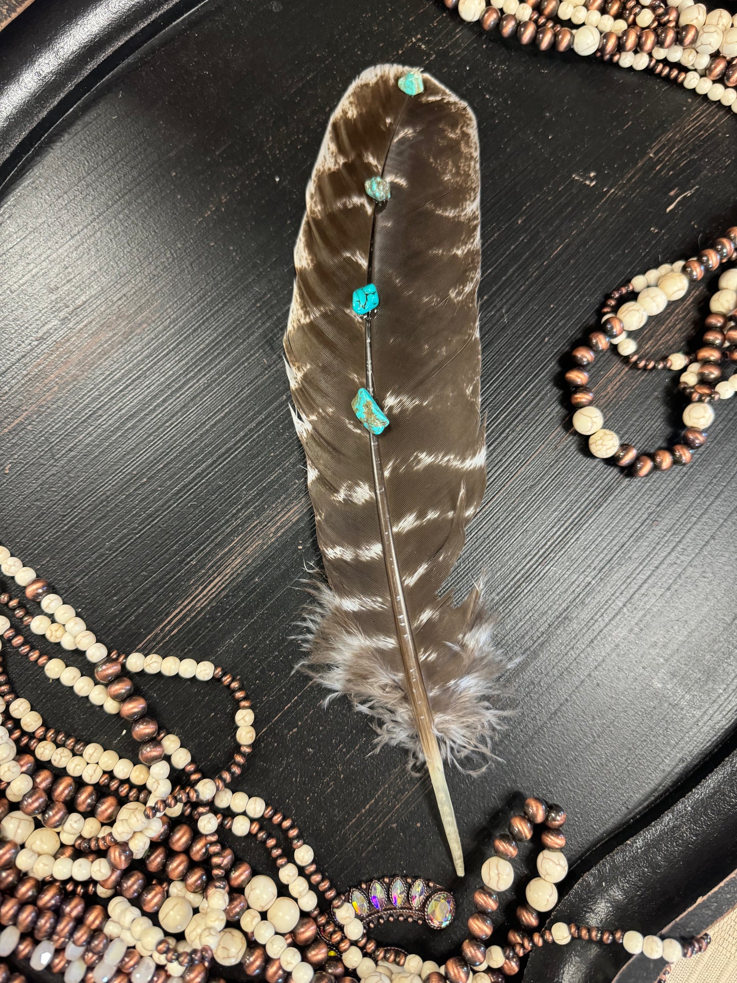 Turquoise Studded Premium Natural Barred Turkey Feathers
