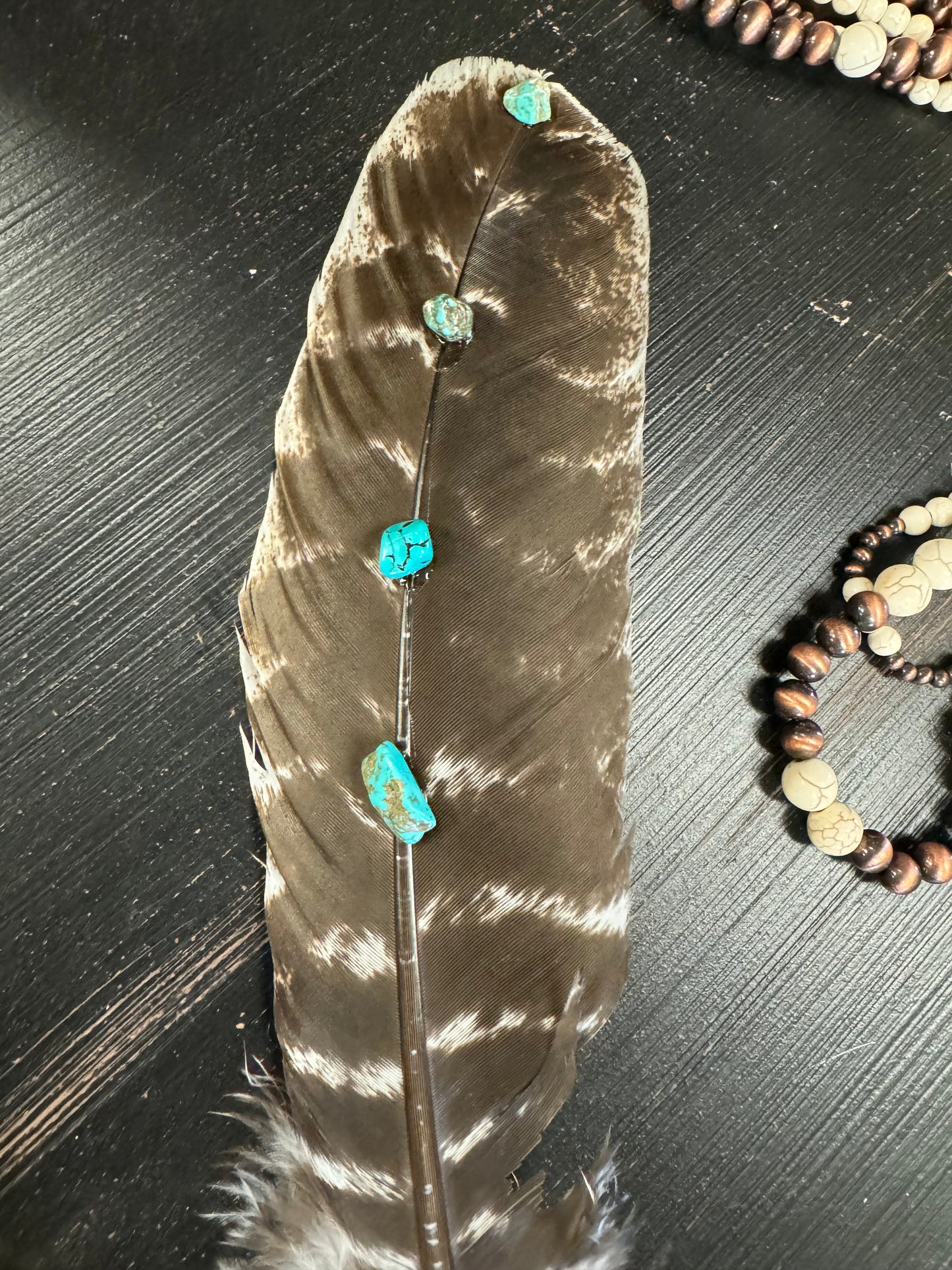 Turquoise Studded Premium Natural Barred Turkey Feathers