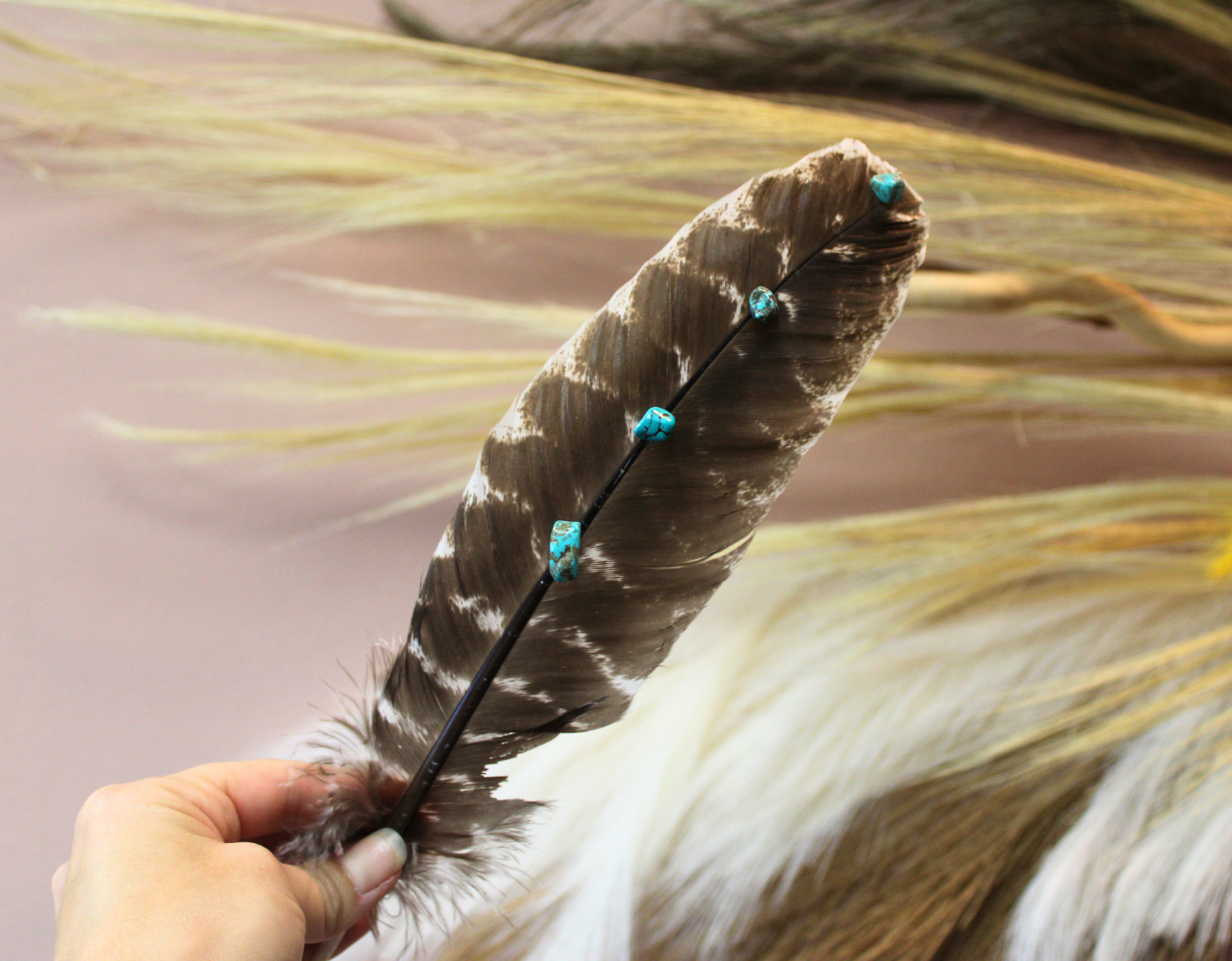 Turquoise Studded Premium Natural Barred Turkey Feathers