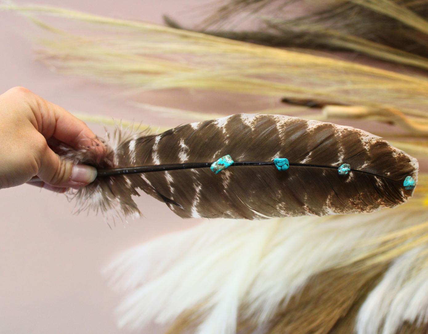 Turquoise Studded Premium Natural Barred Turkey Feathers