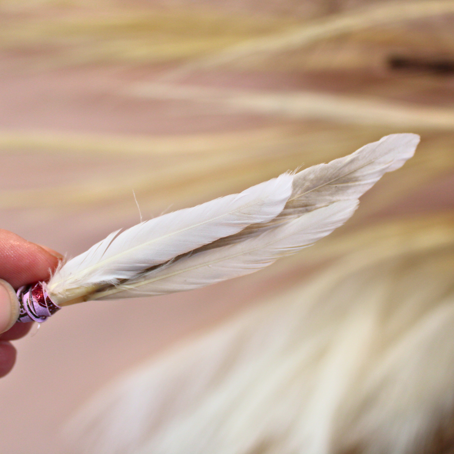 Handwrapped Natural Duck Cochette Mini Feather Pick
