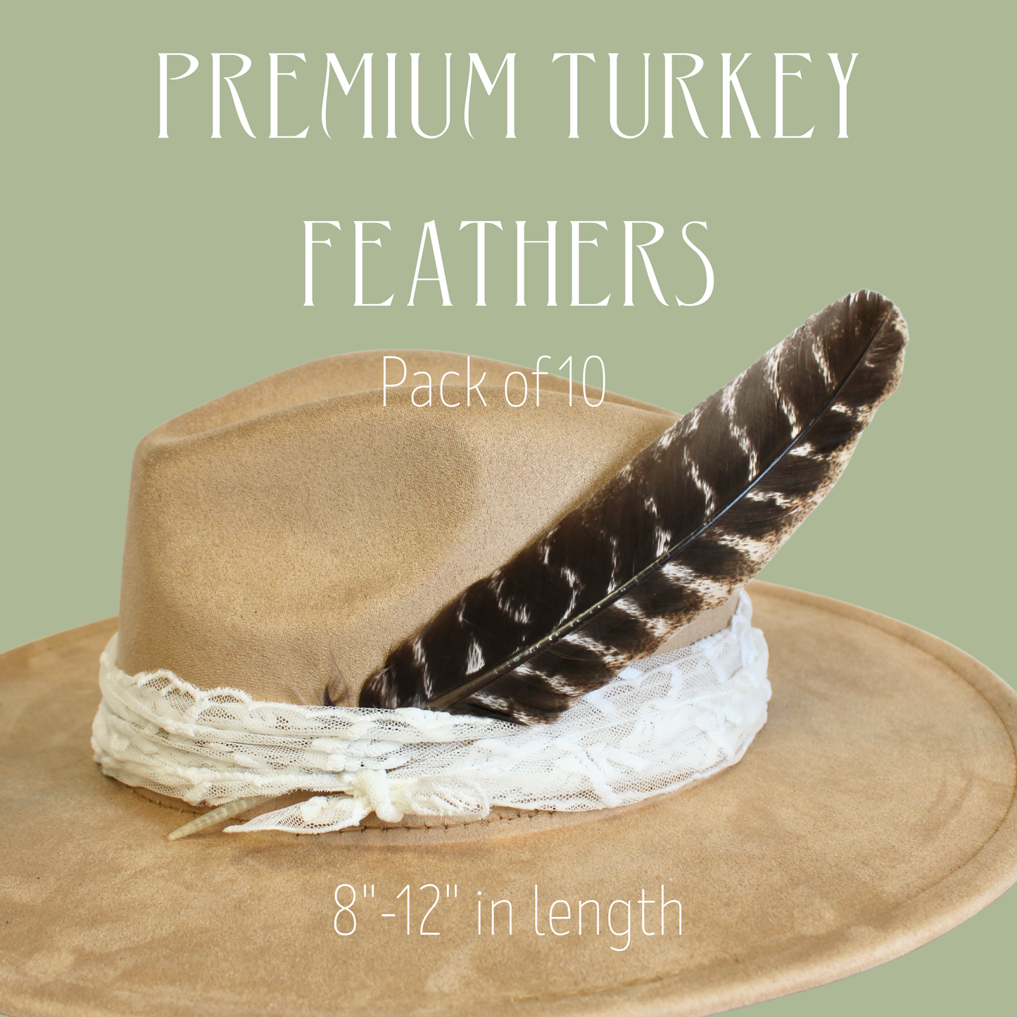 Natural Barred Turkey Rounds – 10 Pack (Premium Domestic Feathers)