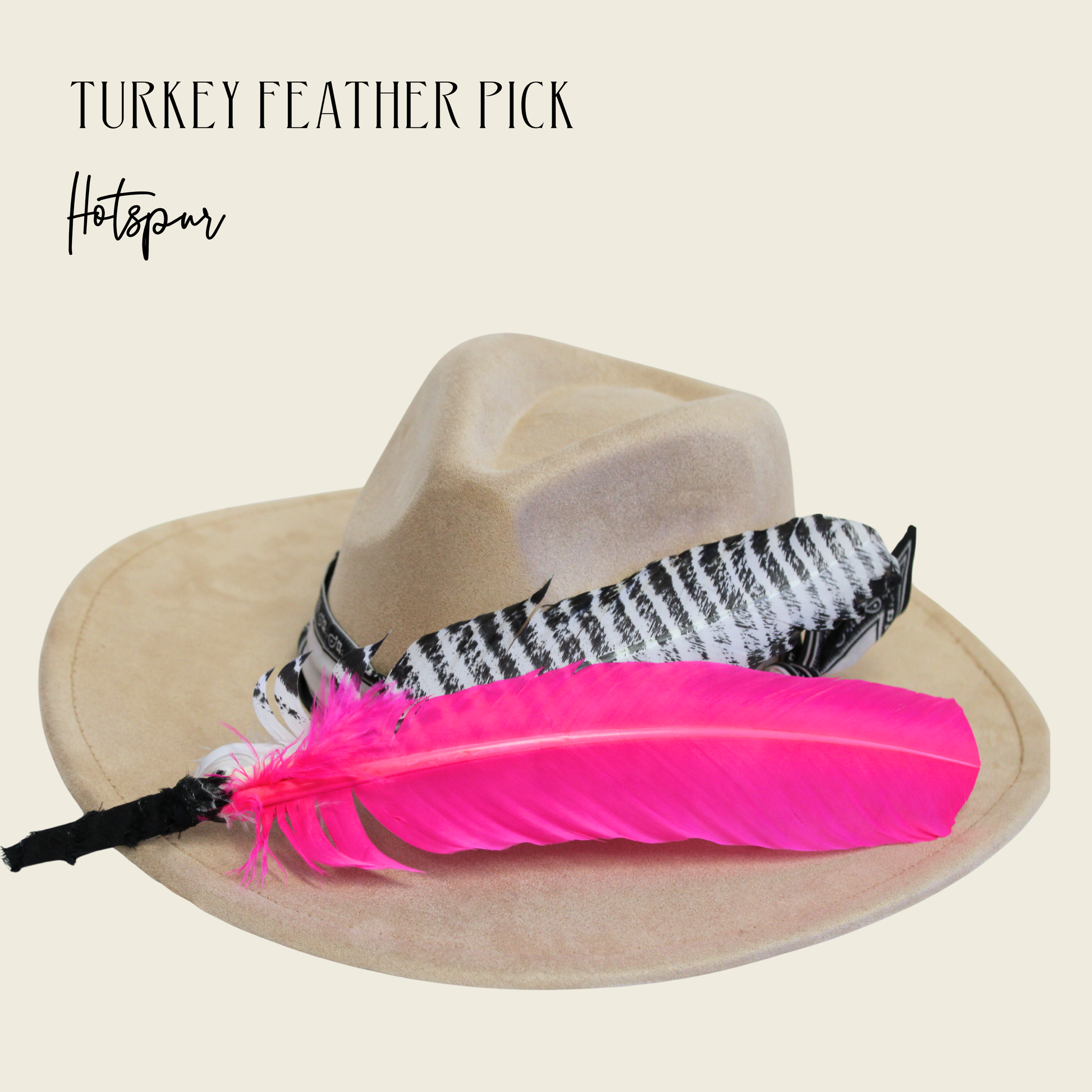 Turkey feather pick with pink and black feathers on a beige hat against a beige background