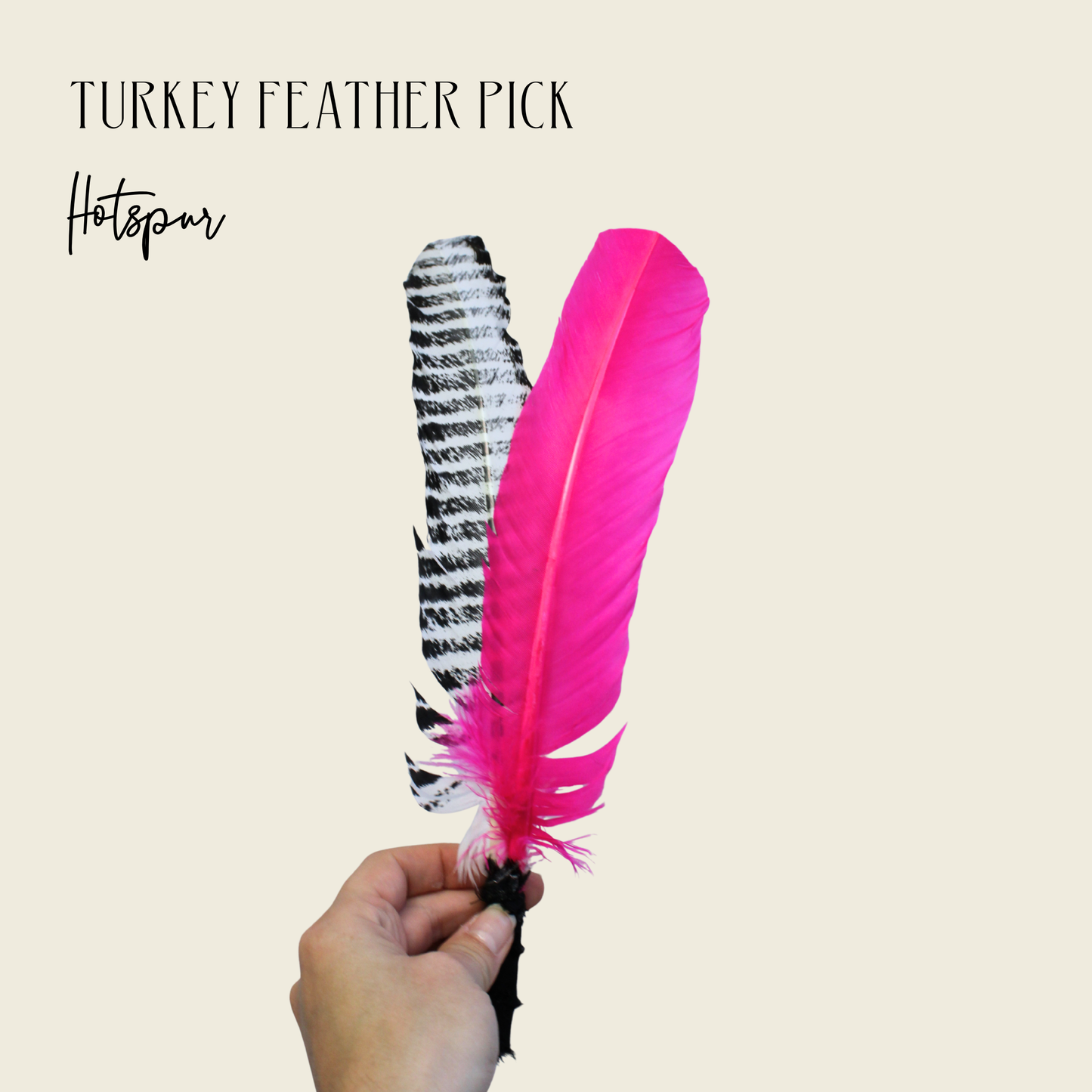 Hand holding a turkey feather pick with black and pink feathers on a beige background