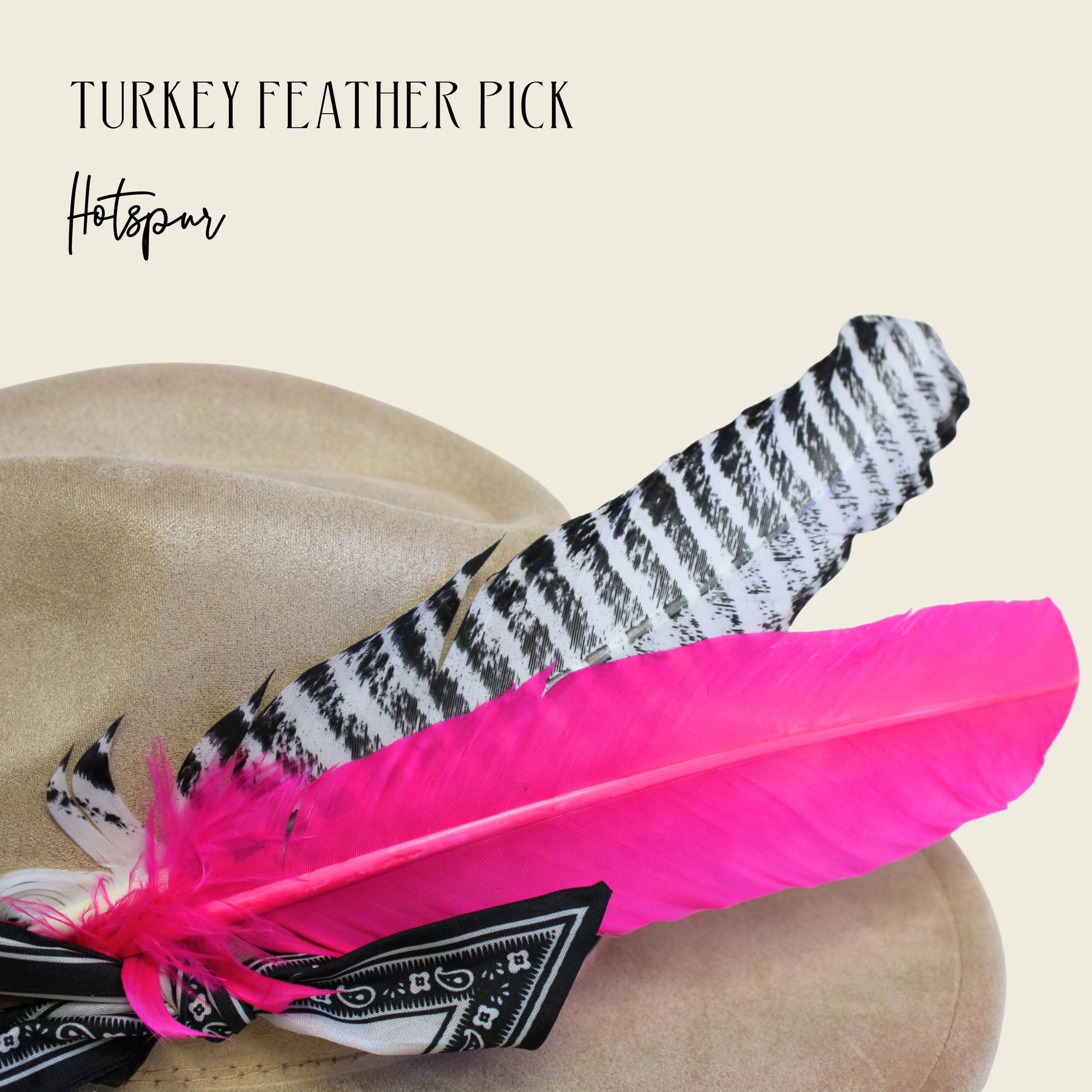 Turkey feather pick with pink and black feathers on a beige background