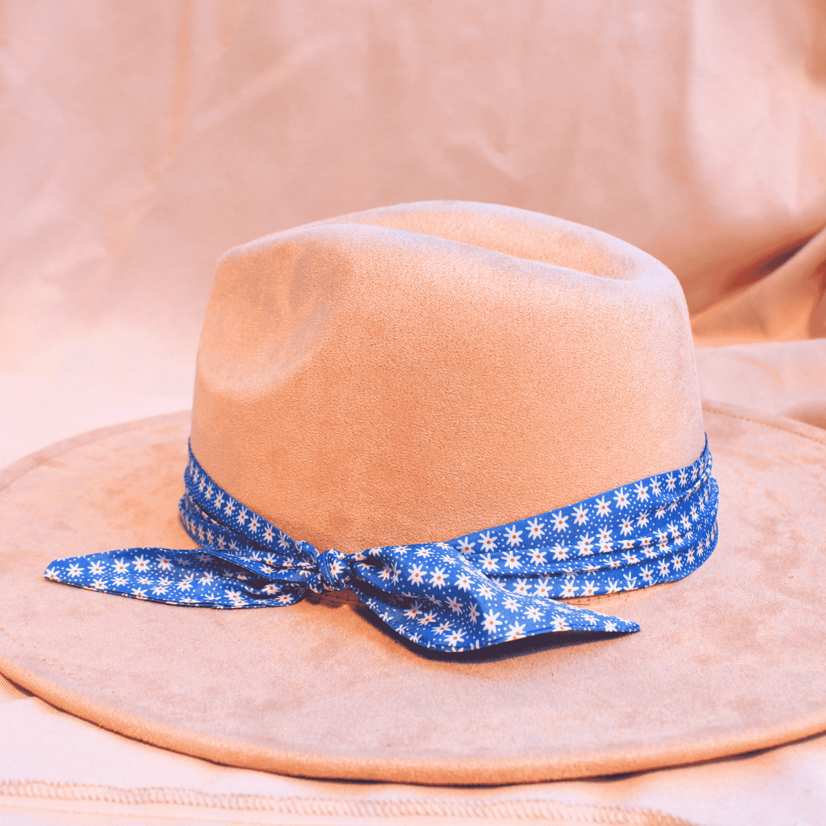 Picnic Bandana Hat Bands