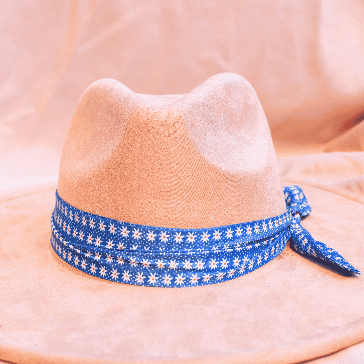 Picnic Bandana Hat Bands