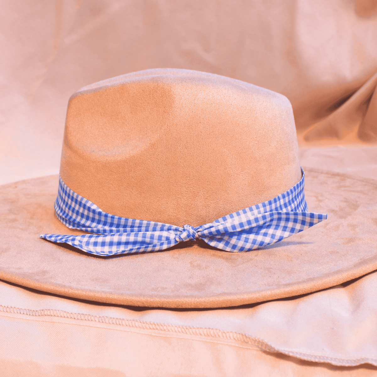 Picnic Bandana Hat Bands