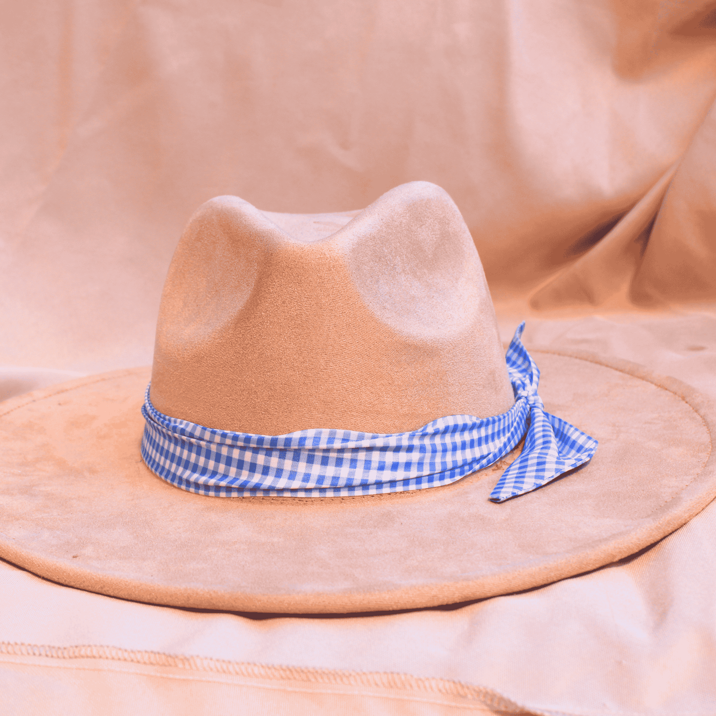 Picnic Bandana Hat Bands